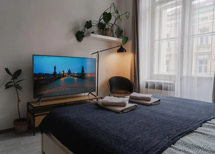 Cozy Warm Studio In Prague City Center