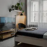 Cozy Warm Studio In Prague City Center